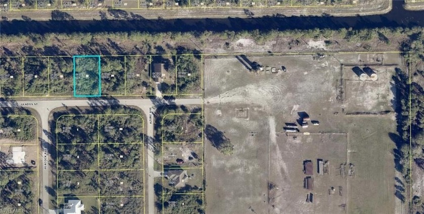 LOT IN THE FAST GROWING AREA OF LEHIGH, PLENTY OF NEW - Beach Lot for sale in Lehigh Acres, Florida on Beachhouse.com