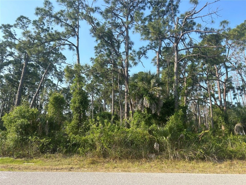 Build your dream home on this spacious vacant lot nestled in a - Beach Lot for sale in Port Charlotte, Florida on Beachhouse.com