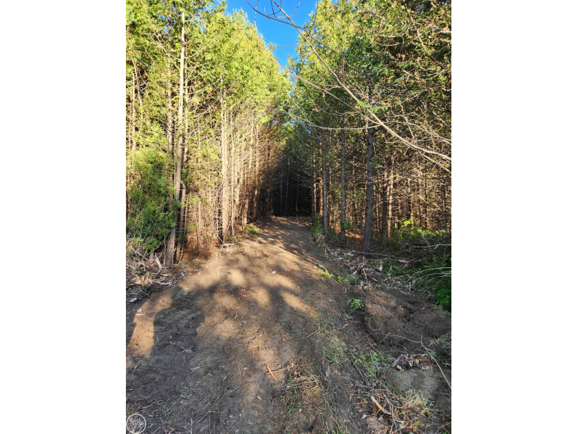 2.47 acres 330x326. Parcel A Driveway cut in. Clearing by creek - Beach Acreage for sale in Carsonville, Michigan on Beachhouse.com