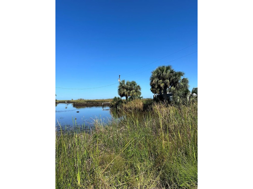 This small lot, located along the Gulf of Mexico, offers - Beach Lot for sale in Suwannee, Florida on Beachhouse.com