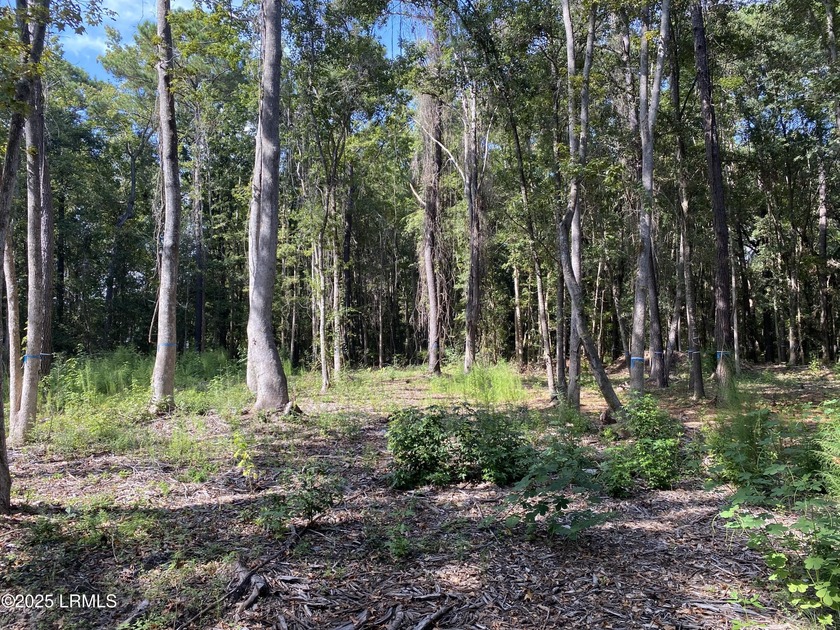 SEE THE VIDEO OF THIS GREAT PROPERTY! This stunning 2-acre - Beach Acreage for sale in Saint Helena Island, South Carolina on Beachhouse.com