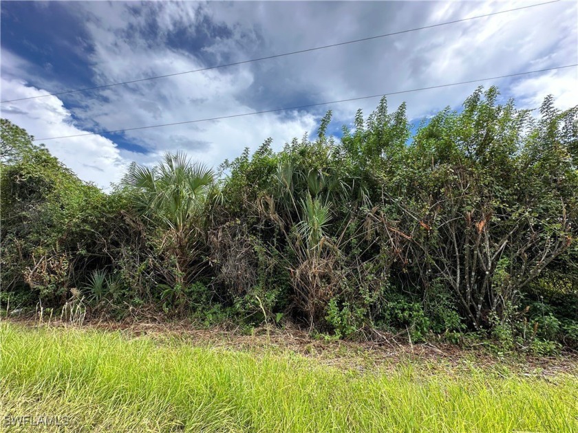 Looking for privacy? This is the lot for you. Isolated in a - Beach Lot for sale in Lehigh Acres, Florida on Beachhouse.com