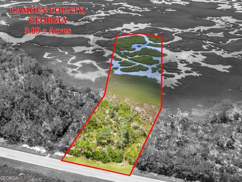 Welcome to Misty Harbor! 3.09 acres along Marina Isle in - Beach Acreage for sale in Woodbine, Georgia on Beachhouse.com
