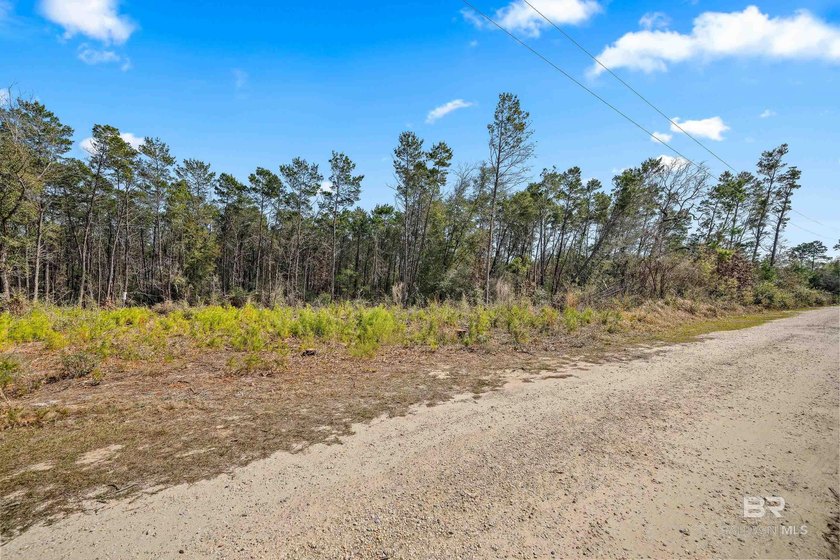 Rare opportunity to own a beautifully wooded .82-acre - Beach Lot for sale in Gulf Shores, Alabama on Beachhouse.com