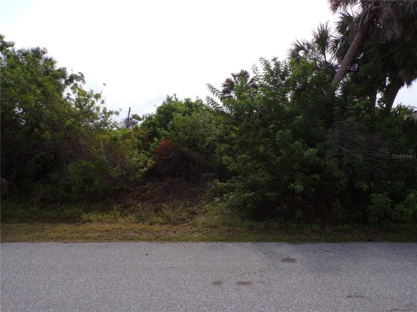 This lot is a RARE find with both CITY WATER AND SEWER it is - Beach Lot for sale in Port Charlotte, Florida on Beachhouse.com