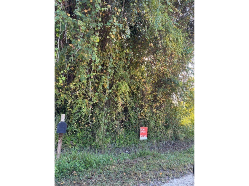 Vacant lot adjacent to recently built homes, moderately treed - Beach Lot for sale in Vero Beach, Florida on Beachhouse.com
