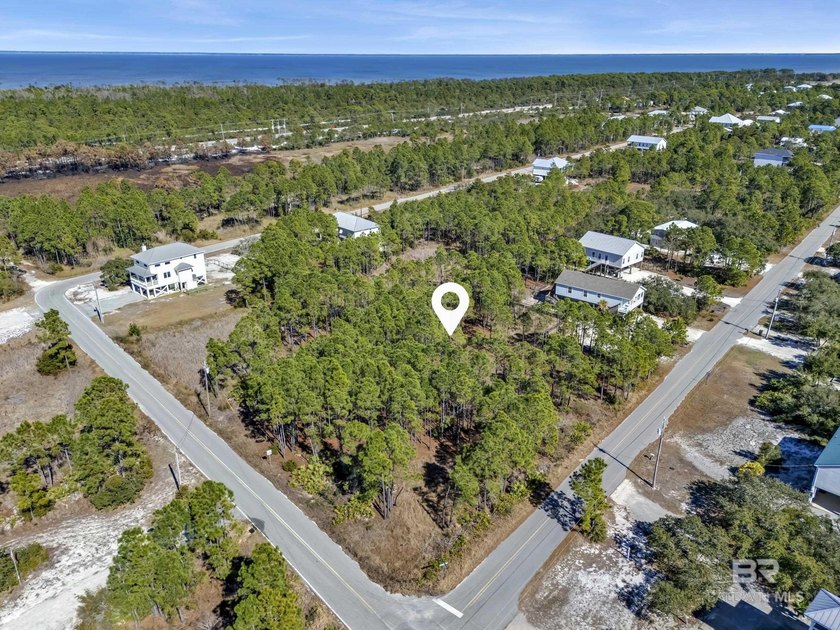 Exempt from ITP/Beach Mouse Permit! Build your dream home or - Beach Lot for sale in Gulf Shores, Alabama on Beachhouse.com