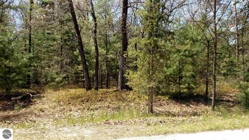 100% wooded vacant potential building site located at the Huron - Beach Lot for sale in Au Gres, Michigan on Beachhouse.com