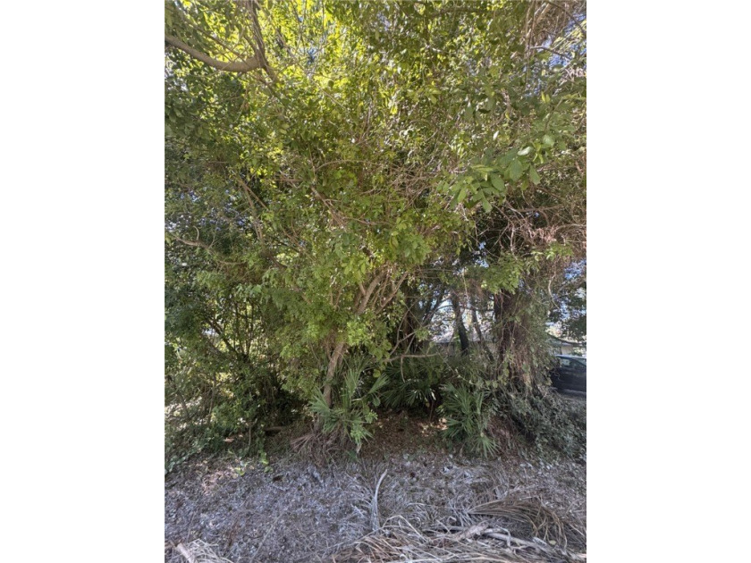 Great location to build a new home close to the - Beach Lot for sale in Vero Beach, Florida on Beachhouse.com