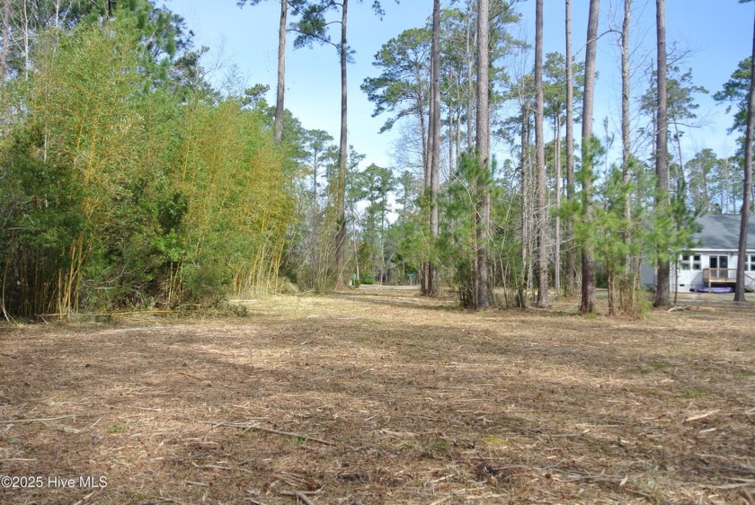 Peacefully secluded waterfront lot at the end of a cul-de-sac - Beach Lot for sale in Beaufort, North Carolina on Beachhouse.com
