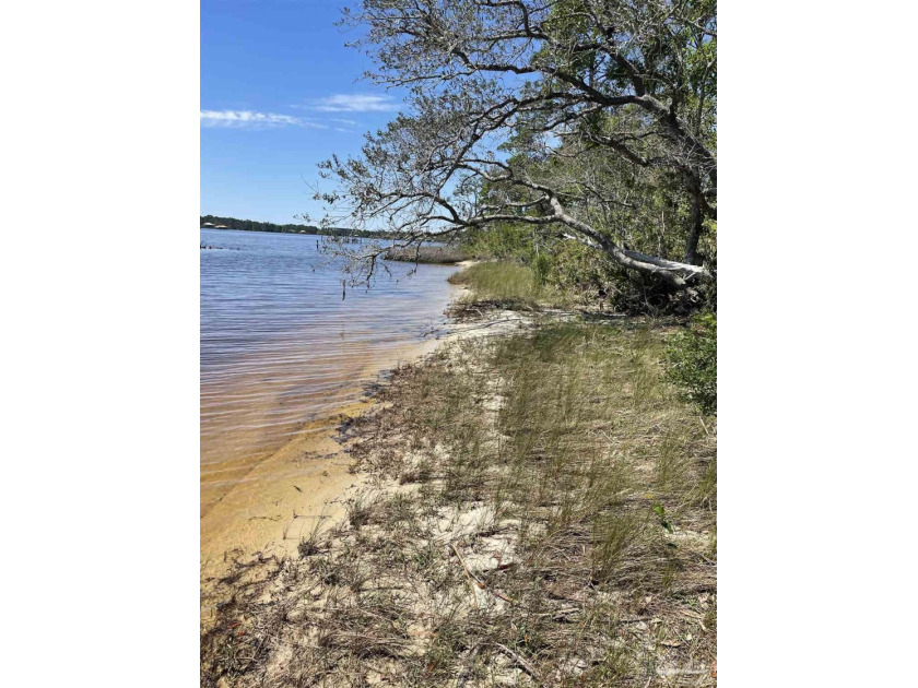 Beautiful wooded beach front property..(6.21 acres approx) ..125 - Beach Acreage for sale in Milton, Florida on Beachhouse.com
