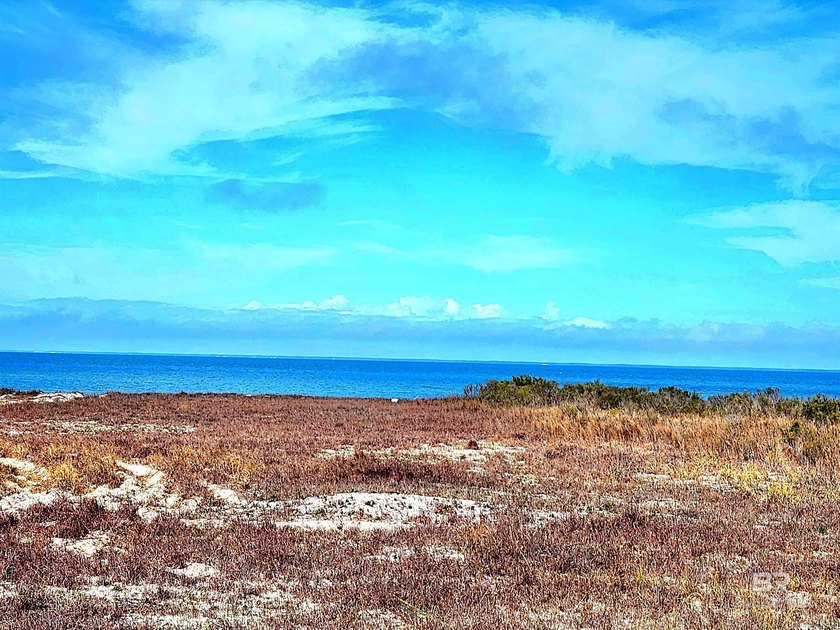 Over 1/2 acre lot on Mississippi Sound side, Dauphin Island! - Beach Lot for sale in Dauphin Island, Alabama on Beachhouse.com
