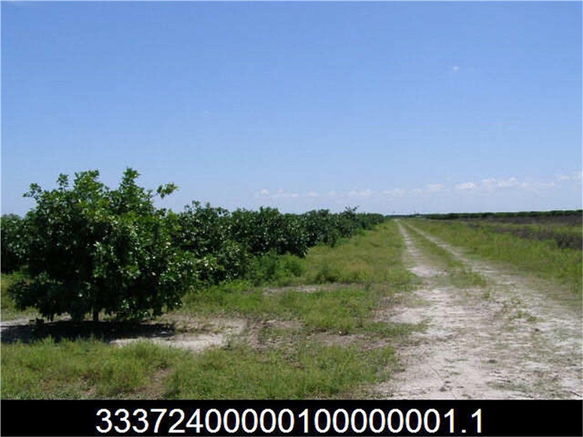 Perfect opportunity to own 20 to 300 acres of land off 122nd Ave - Beach Acreage for sale in Vero Beach, Florida on Beachhouse.com