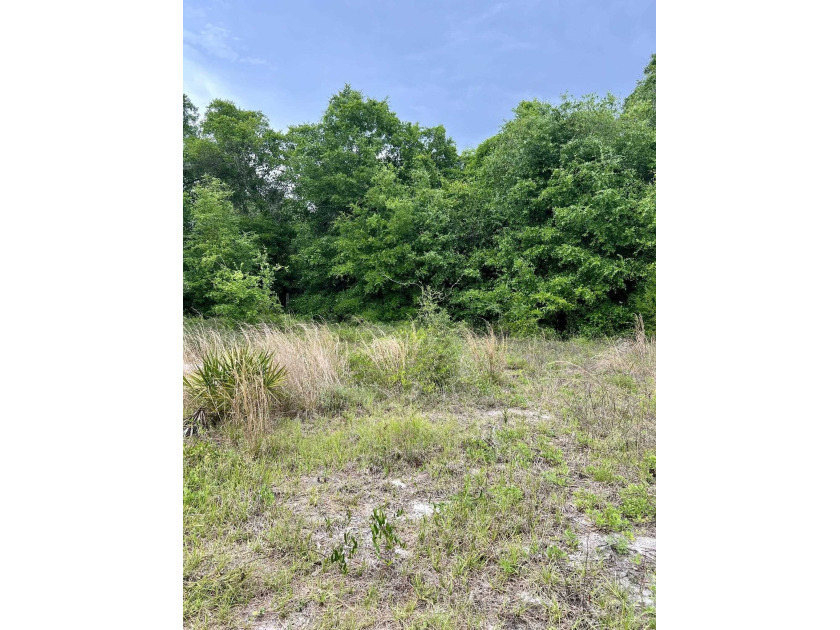 Coastal double lot, cleared, buildable, and ready for your - Beach Lot for sale in Lanark Village, Florida on Beachhouse.com