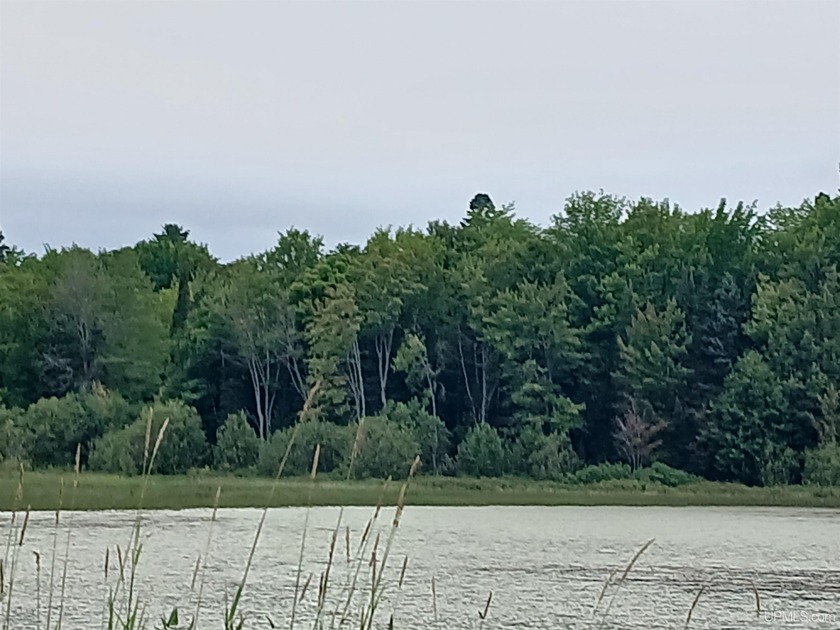 MICHIGAN 2-ACRE PRIVATE LAKE WATER FRONT PROPERTY FOR SALE! This - Beach Acreage for sale in Lake Linden, Michigan on Beachhouse.com