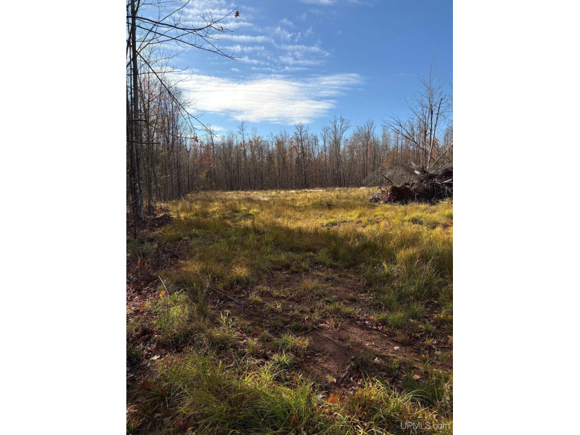 A great parcel with a great location! This 10 acre (m/l) parcel - Beach Acreage for sale in Ontonagon, Michigan on Beachhouse.com