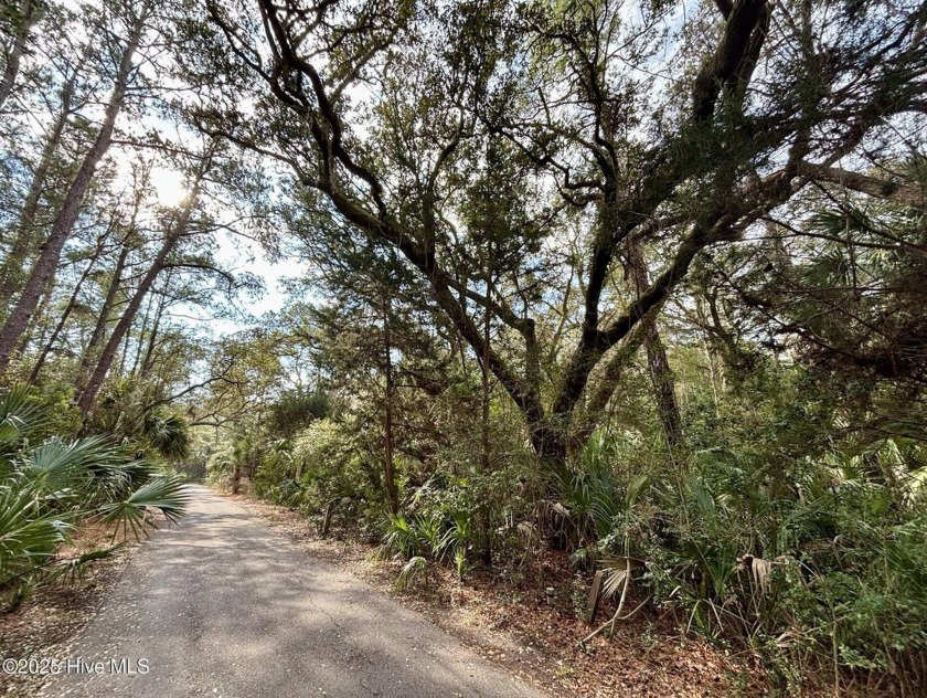 Looking for the perfect lot on the golf course!  Look no further - Beach Lot for sale in Bald Head Island, North Carolina on Beachhouse.com