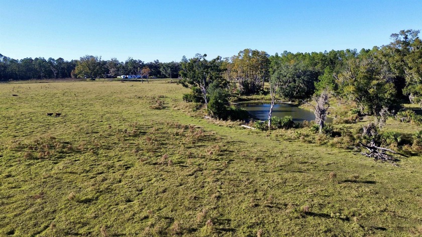 Picture this-mornings that start with mist rising over open - Beach Acreage for sale in Perry, Florida on Beachhouse.com