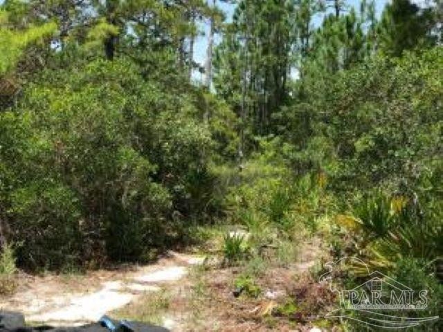 5 Acres +/- on corner of US Hwy 98 (Navarre Parkway) and Newport - Beach Acreage for sale in Navarre, Florida on Beachhouse.com