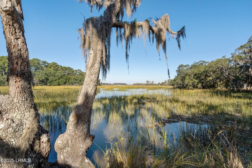 Tucked beneath a canopy of moss-draped oaks, this property truly - Beach Home for sale in Beaufort, South Carolina on Beachhouse.com