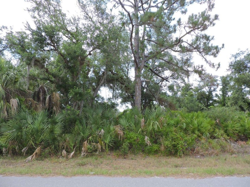 Wonderful homesite in the thriving area of Port Charlotte! This - Beach Lot for sale in Port Charlotte, Florida on Beachhouse.com