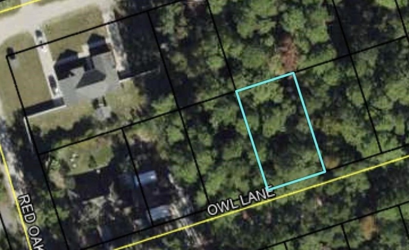 Vacant Land for Sale - 0.12 Acres in Wakulla County, FL (Near - Beach Lot for sale in Crawfordville, Florida on Beachhouse.com