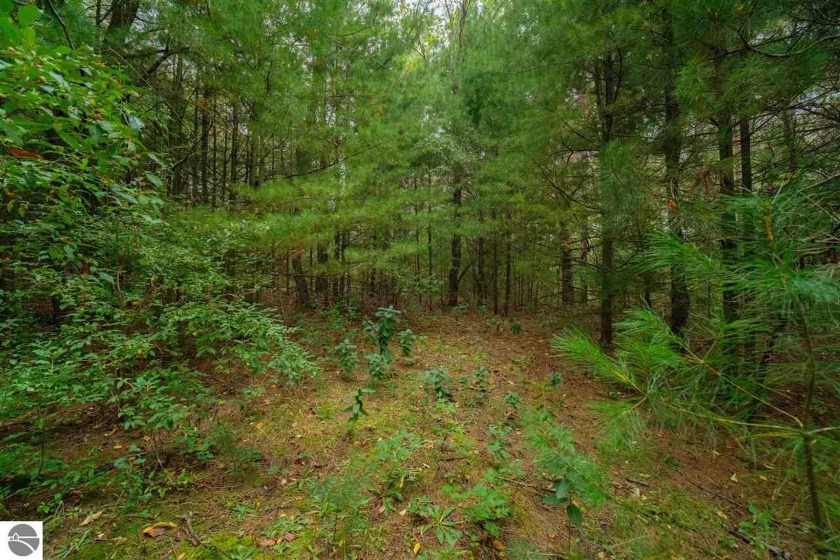 A nice square 10 acre parcel! Approximately 660 ft. x 660 ft - Beach Acreage for sale in Onekama, Michigan on Beachhouse.com