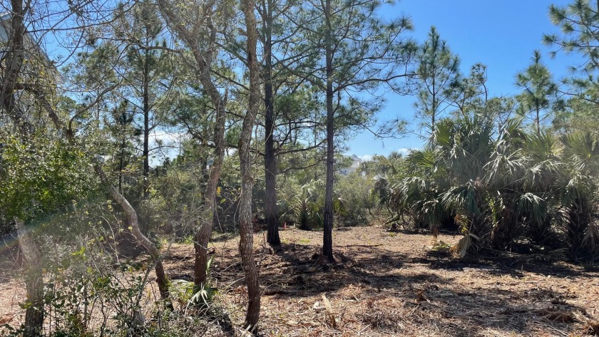 Exceptionally large lot, across from Lake Powell, with amazing - Beach Lot for sale in Panama City Beach, Florida on Beachhouse.com