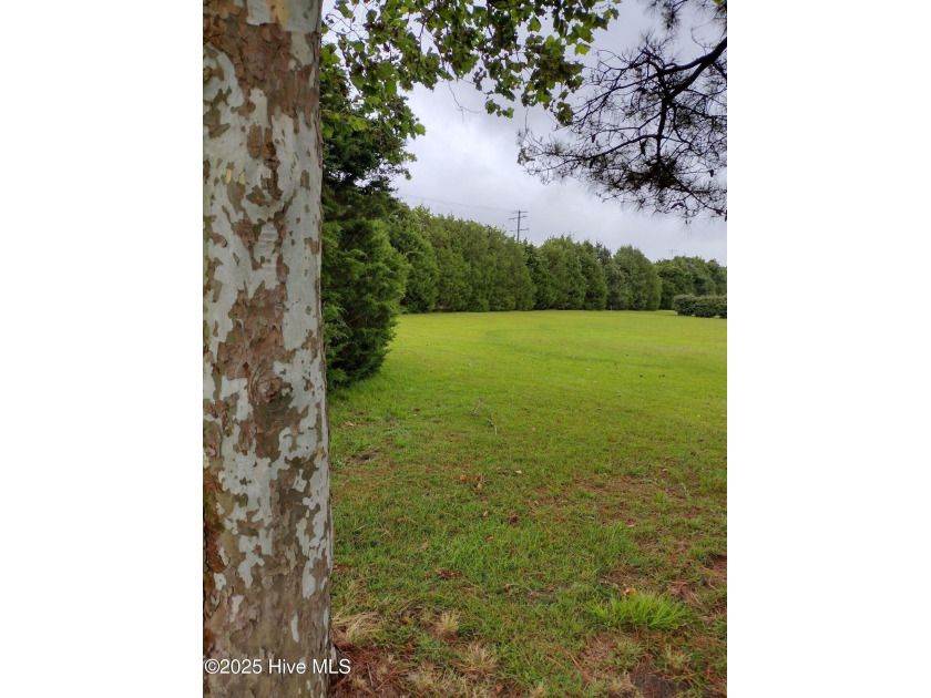 Located in the highly sought after area of Jarvisburg, this .92 - Beach Lot for sale in Jarvisburg, North Carolina on Beachhouse.com