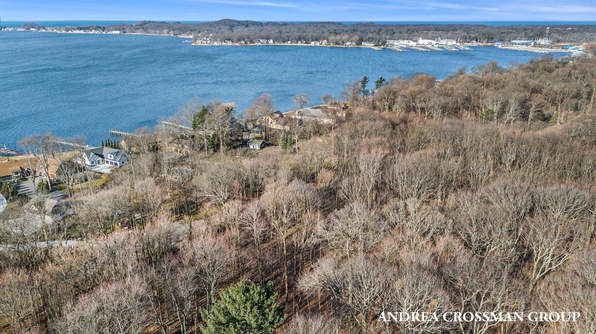 Introducing a rare opportunity to claim your own piece of - Beach Lot for sale in Holland, Michigan on Beachhouse.com