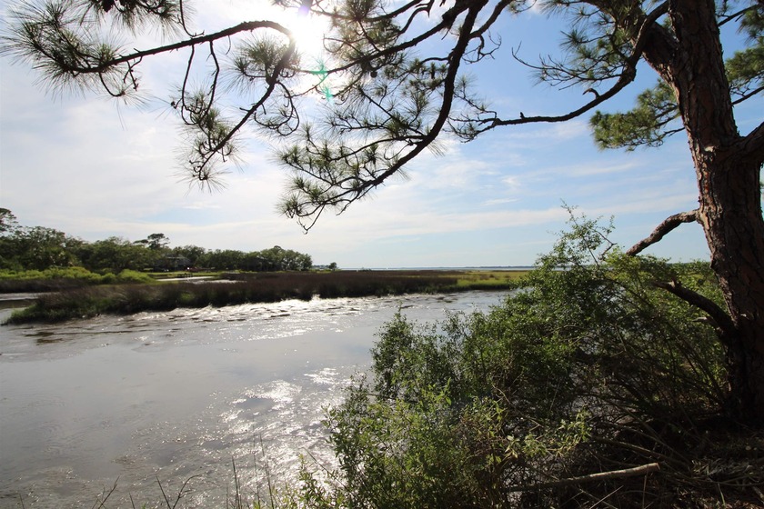 The coast is calling! Build your dream home and start enjoying - Beach Lot for sale in Alligator Point, Florida on Beachhouse.com