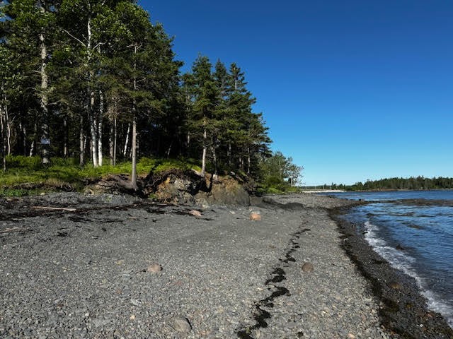 Nestled in the heart of Eastport, this oceanfront property is a - Beach Acreage for sale in Eastport, Maine on Beachhouse.com