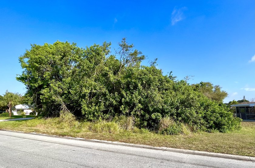 Vacant lot in the Vero Beach Highlands neighborhood, paved road - Beach Lot for sale in Vero Beach, Florida on Beachhouse.com