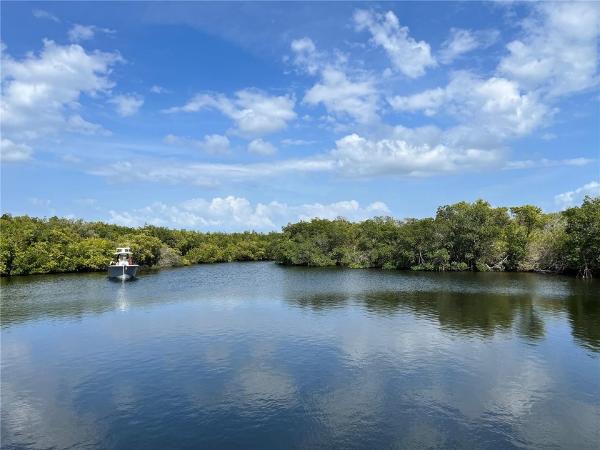 This waterfront home has 2 bedrooms and 2 bathrooms, a Florida - Beach Home for sale in St. Petersburg, Florida on Beachhouse.com