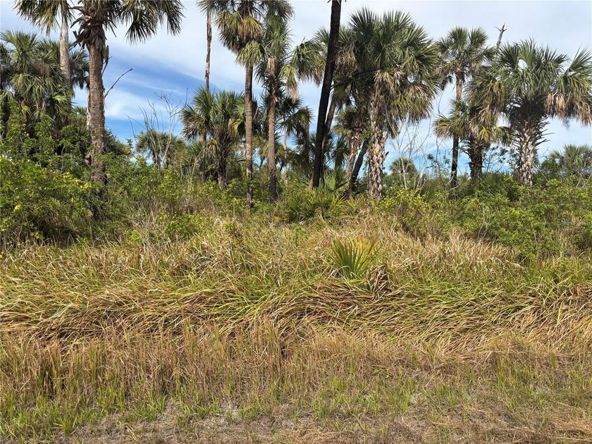 Discover the perfect opportunity to build your dream home in the - Beach Lot for sale in North Port, Florida on Beachhouse.com