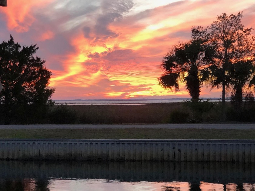Do you like palm trees? Peace and quiet with amazing eastern - Beach Home for sale in Crawfordville, Florida on Beachhouse.com