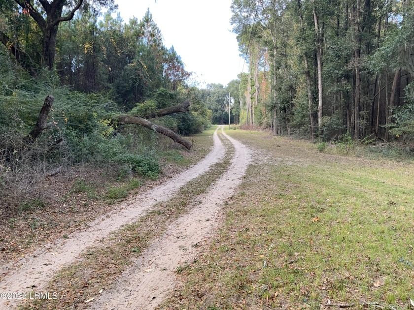 Rare opportunity on St. Helena Island! Beautiful 1-acre wooded - Beach Lot for sale in Saint Helena Island, South Carolina on Beachhouse.com