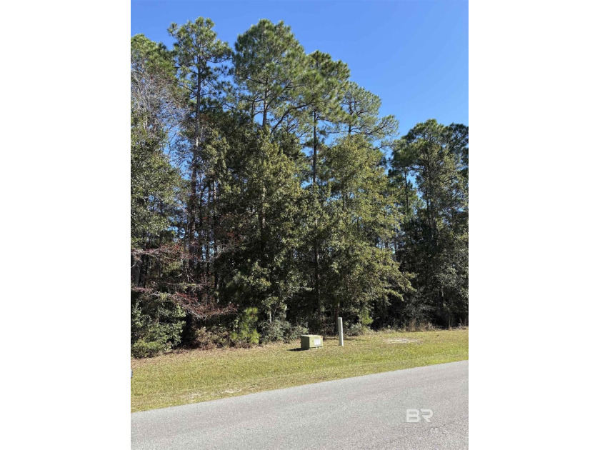 Build your dream home on this beautiful 1.05-acre wooded - Beach Lot for sale in Gulf Shores, Alabama on Beachhouse.com
