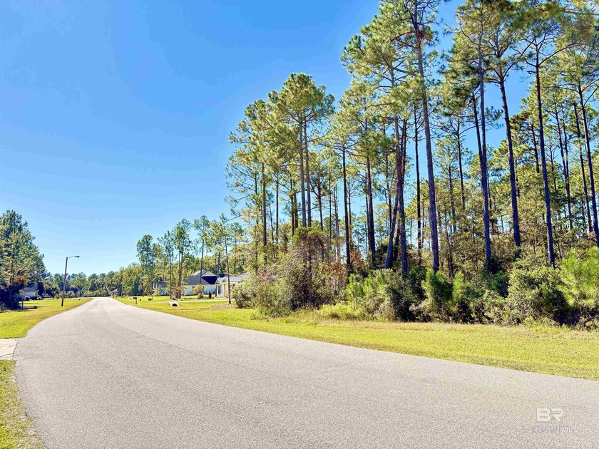 Build your dream home on this beautiful 1.41-acre wooded - Beach Lot for sale in Gulf Shores, Alabama on Beachhouse.com