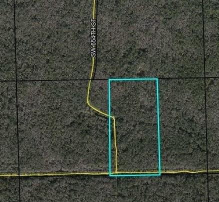 20 Acre Hunting/Recreational... This property is off the beaten - Beach Acreage for sale in Horseshoe Beach, Florida on Beachhouse.com