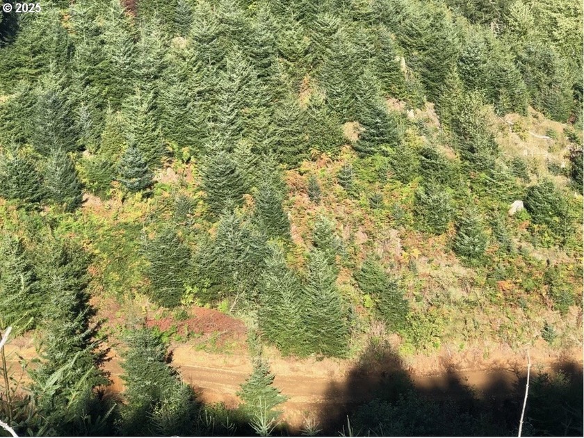 MOTIVATED SELLER, BRING ALL OFFERS! This epic 41.15 Acre - Beach Acreage for sale in Seaside, Oregon on Beachhouse.com