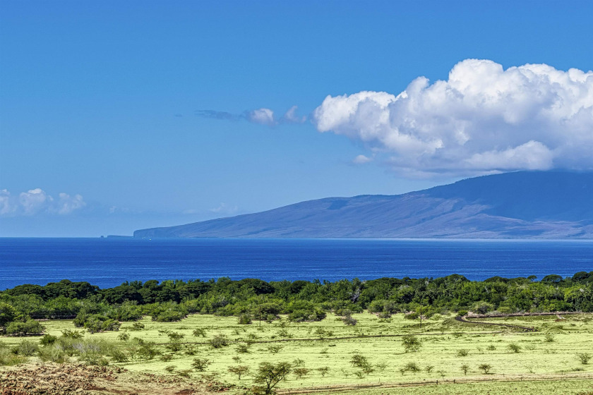 Welcome home! You can feel the heartbeat of this land the moment - Beach Acreage for sale in Lahaina, Hawaii on Beachhouse.com