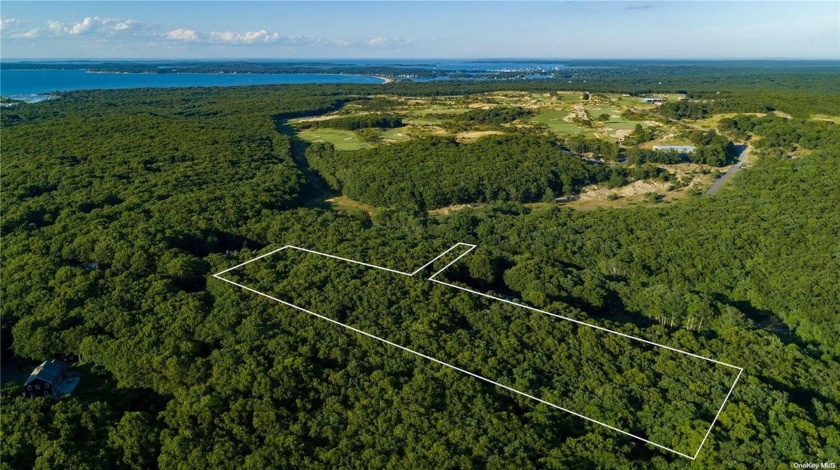 An extraordinary opportunity awaits with 3.2 acres of prime real - Beach Acreage for sale in Sag Harbor, New York on Beachhouse.com