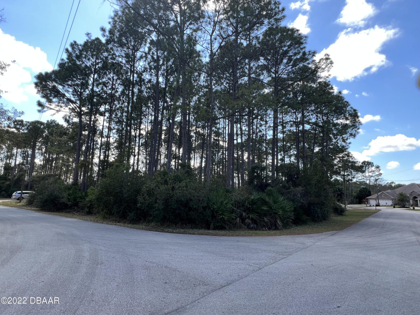 Oversided CORNER LOT in the Indian Hills community of Palm Coast - Beach Lot for sale in Palm Coast, Florida on Beachhouse.com