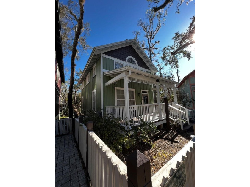 Beautiful newly painted home for sale in the Steinhatchee - Beach Home for sale in Steinhatchee, Florida on Beachhouse.com