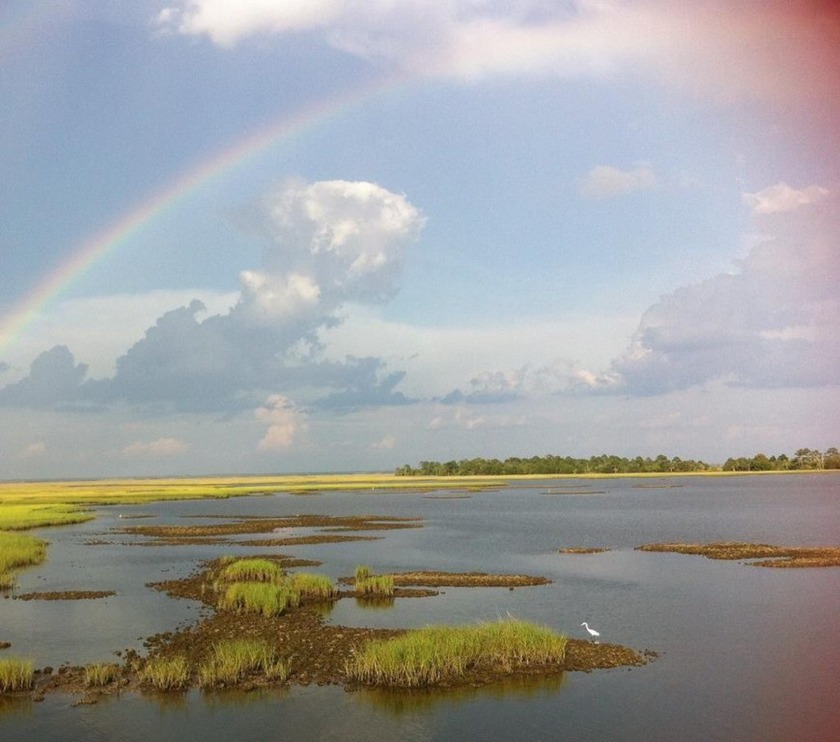 With over 1/2 acre of land, this Gulf Front property is the - Beach Lot for sale in Horseshoe Beach, Florida on Beachhouse.com