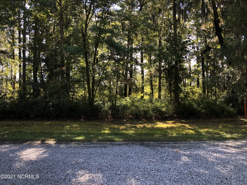 WOODED WATERFRONT LOT - This .99 AC Buildable Lot is located in - Beach Lot for sale in Belhaven, North Carolina on Beachhouse.com