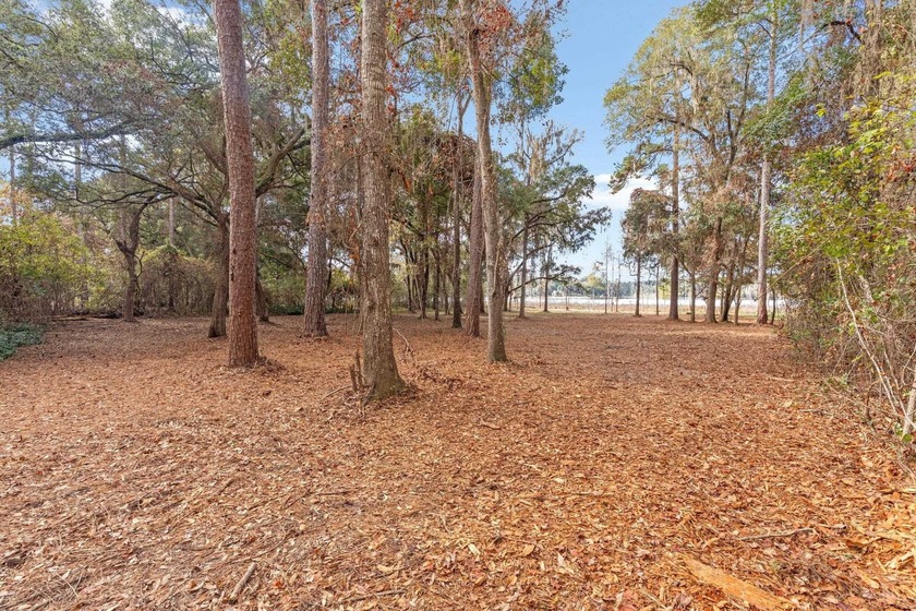 This is your chance to own a premier lot in a premier location! - Beach Acreage for sale in Tallahassee, Florida on Beachhouse.com