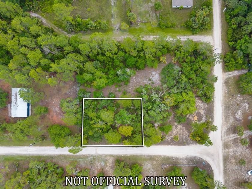 LOT FOR SALE IN SUWANNEE FLORIDA - If you are looking for a - Beach Lot for sale in Suwannee, Florida on Beachhouse.com