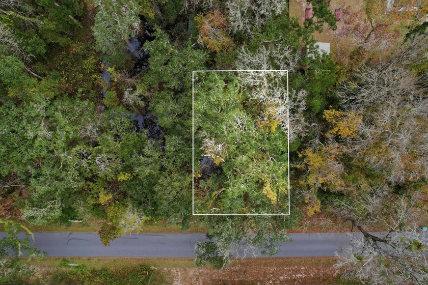 Buildable lot in beautiful Wakulla County. Located on a paved - Beach Lot for sale in Crawfordville, Florida on Beachhouse.com